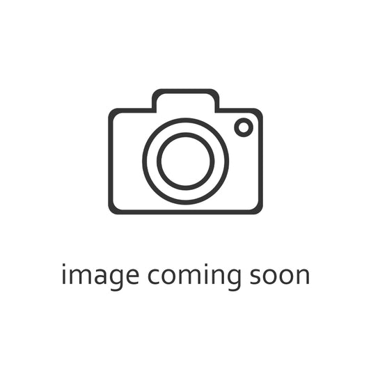 1/18 2025 Porsche 911 Carrera  - Polar Silver Metallic - 187170 - Norev